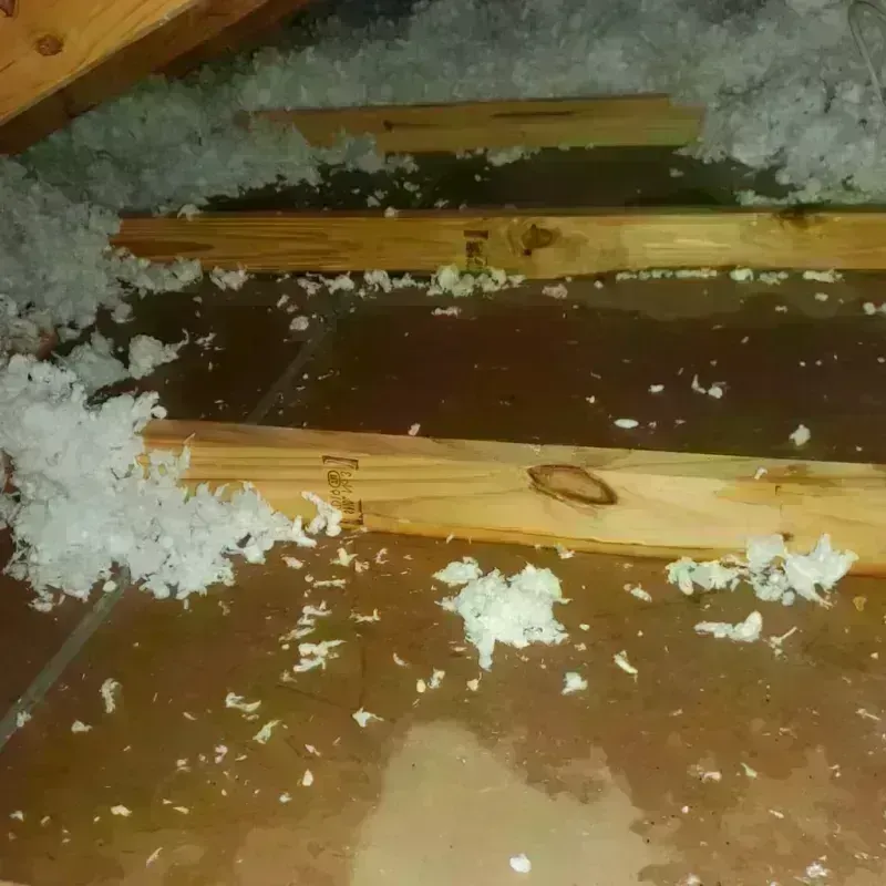 Attic Water Damage in Henrietta, TX