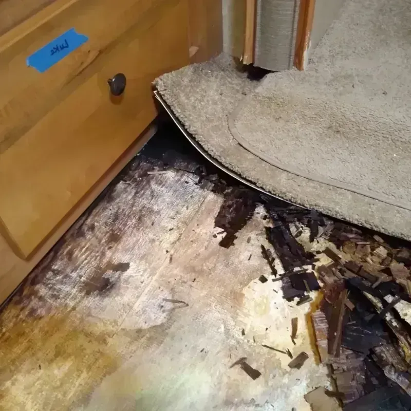 Wood Floor Water Damage in Henrietta, TX